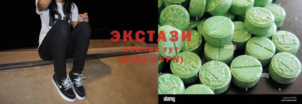 индика Магас