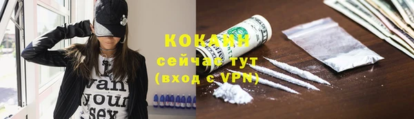 индика Магас
