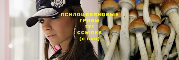 бутират Майский