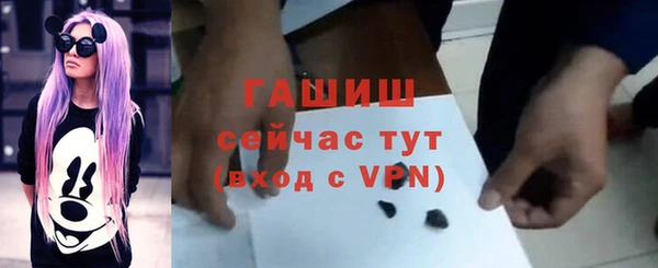 индика Магас