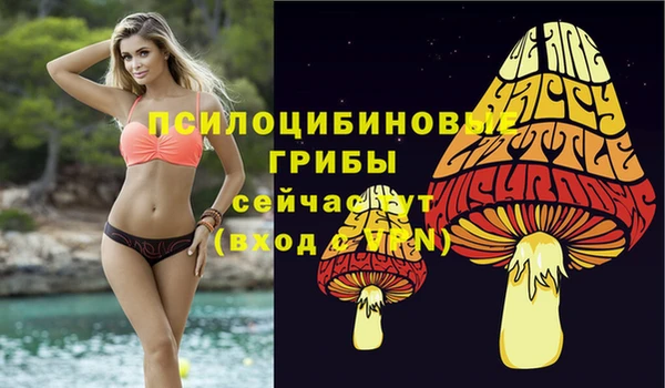 бутират Майский