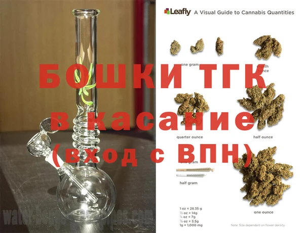 индика Магас