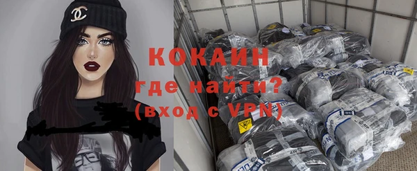 индика Магас