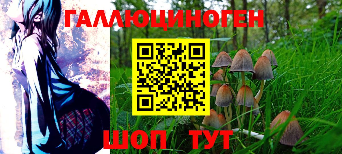 Галлюциногенные грибы Psilocybe  Вход с VPN  Уфа 